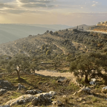 סברה מגזין תרבות פלסטיני