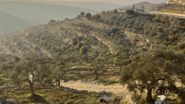 פנים חדשות בפוליטיקה | ד״ר ניהאיה וישאחי | עונה 2 | פרק 12