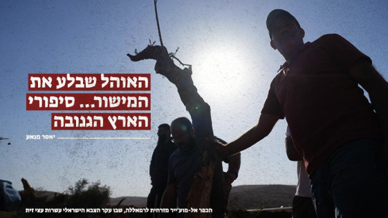 האוהל שבלע את המישור... סיפורי הארץ הגנובה