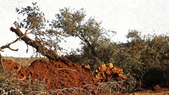 כיצד ישראל משנה את הגיאוגרפיה והסביבה בגדה המערבית?