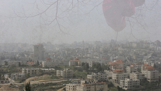 דם בזיכרון ובתוכניות העתיד