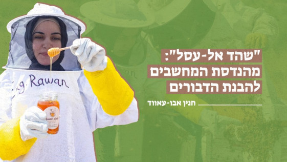 "שהד אל-עסל": מהנדסת המחשבים להבנת הדבורים