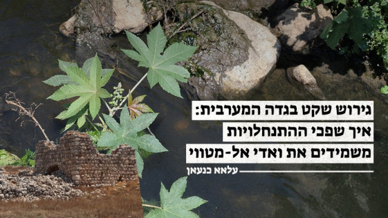 גירוש שקט בגדה המערבית : איך שפכי ההתנחלויות משמידים את ואדי אל-מטווי