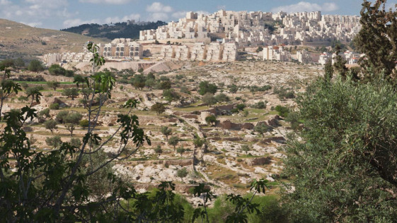 למי קראת קולוניאליסט: כיצד ניתן להיחלץ מן הבינאריות של יליד מול מתיישב בפלסטין?