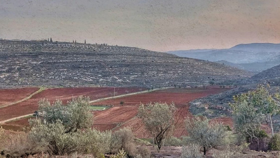 בח'ירבת יאנון הצפונית: "ההחלטה לעזוב לא הייתה קלה, אבל הם הפכו את חיינו לגיהינום"