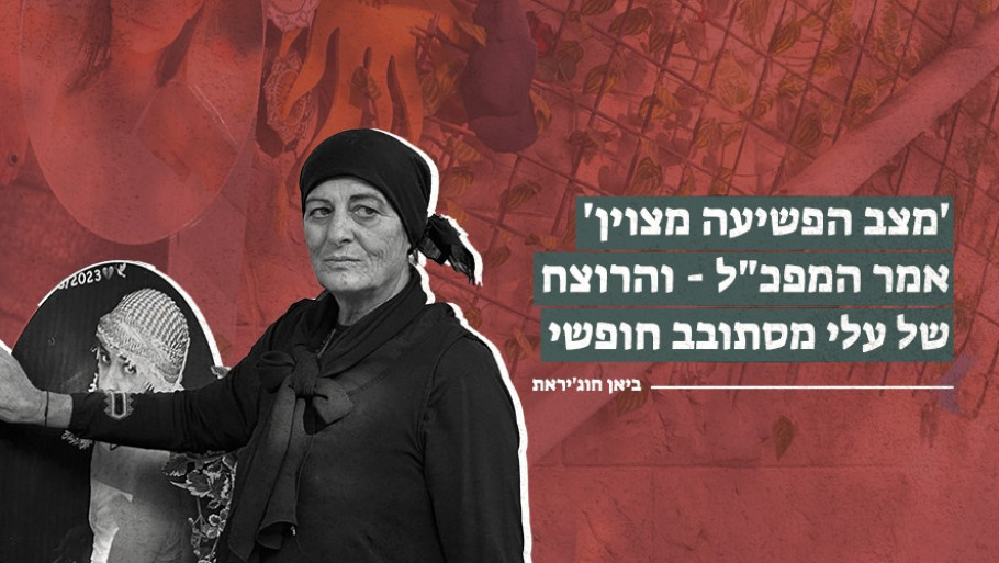 'מצב הפשיעה מצוין' אמר המפכ"ל - והרוצח של עלי מסתובב חופשי