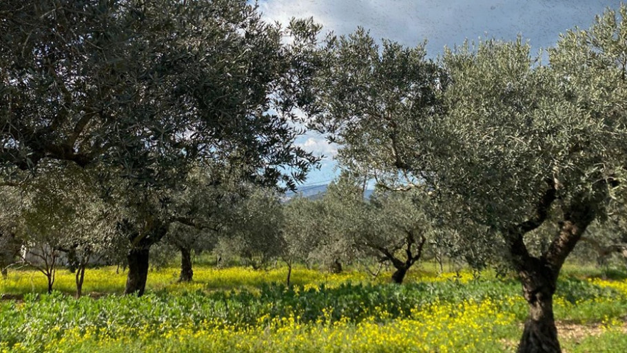 איך שומרים על הראש במלחמה
