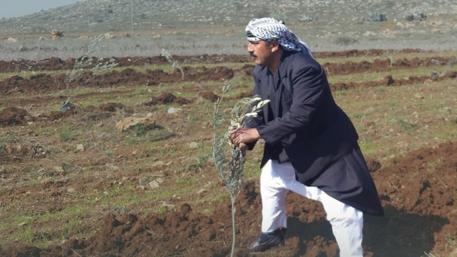 "עונת המסיק, שאמורה להיות עונה של ברכה, הפכה לעונה של פחד ומתקפות" 